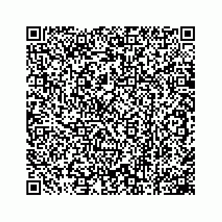 vCard 78162785010
