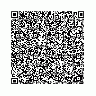 vCard 78162785133