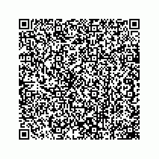 vCard 78162785209