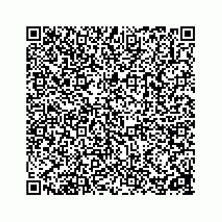 vCard 78162785241