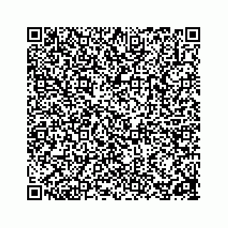 vCard 78162785313