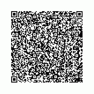 vCard 78162785319