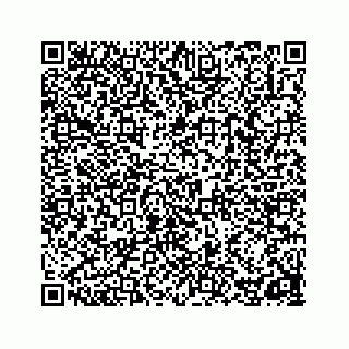vCard 78162785324
