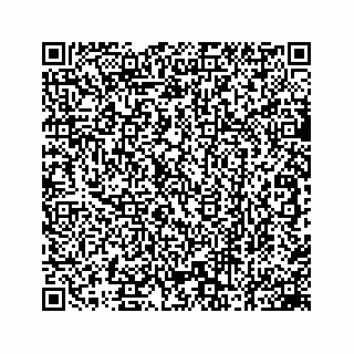 vCard 78162785329