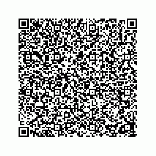 vCard 78162785338