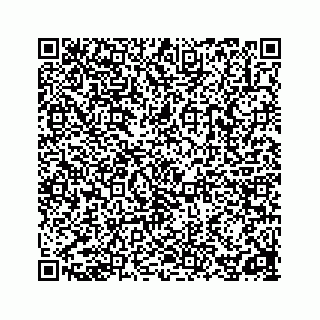 vCard 78162785341
