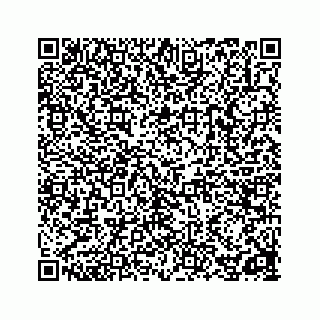 vCard 78162785379