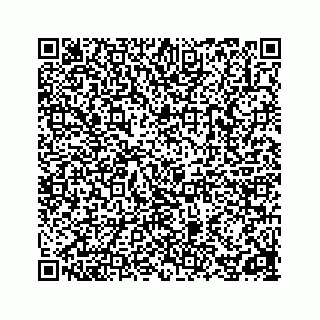 vCard 78162785381