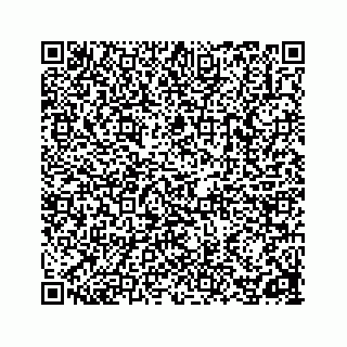 vCard 78162785383