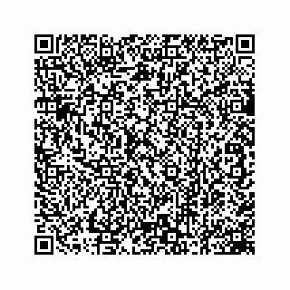 vCard 78162785385
