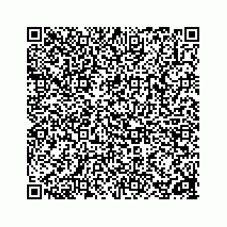 vCard 78162900321