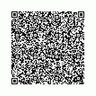 vCard 78162900390