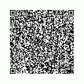 vCard 78162931001