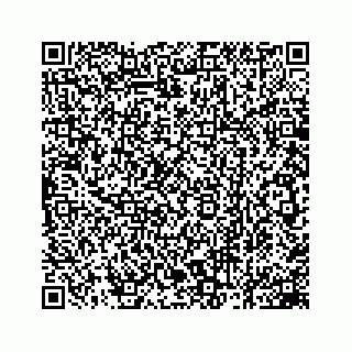 vCard 78162931003