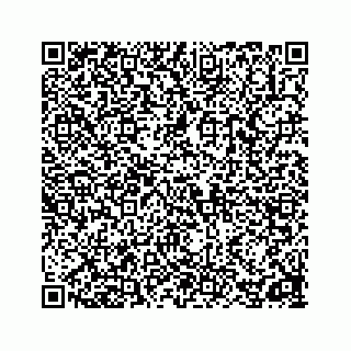 vCard 78162931005