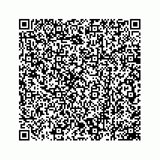 vCard 78162931009