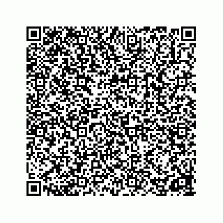 vCard 78162931011