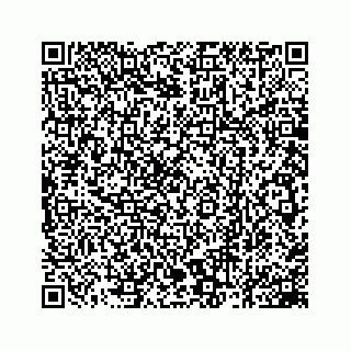 vCard 78162931013