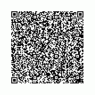 vCard 78162931019