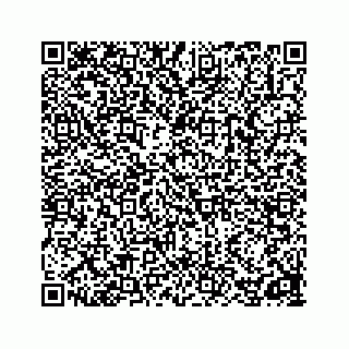 vCard 78162931021