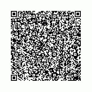 vCard 78162931029
