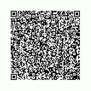 vCard 78162931030