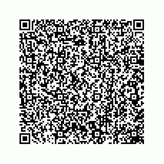 vCard 78162931040
