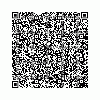 vCard 78162931041