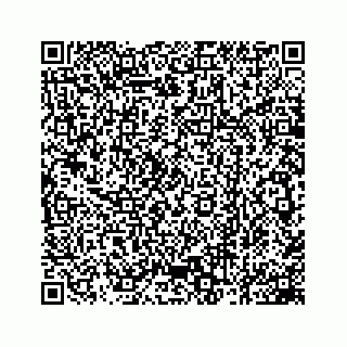 vCard 78162931051