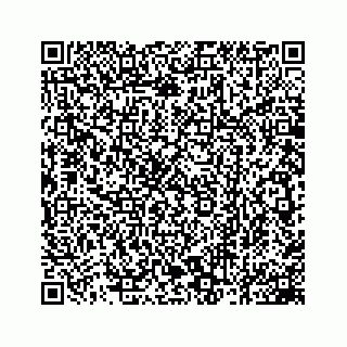 vCard 78162931063