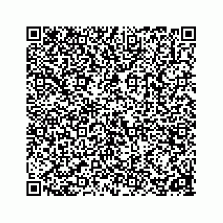 vCard 78162931079