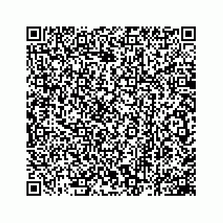 vCard 78162931080