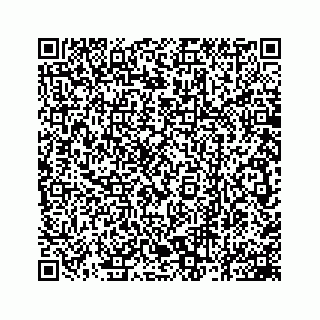 vCard 78162931083
