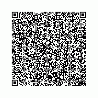 vCard 78162931089