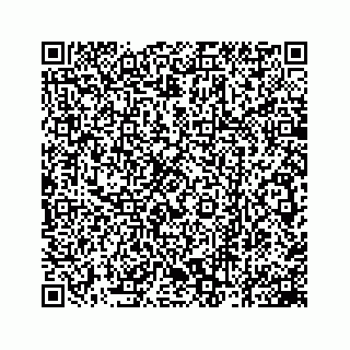 vCard 78162931099