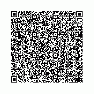 vCard 78162931100