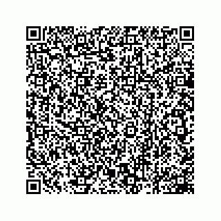 vCard 78162931101