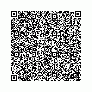 vCard 78162931106
