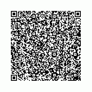 vCard 78162931107
