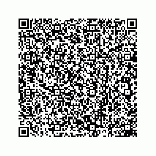 vCard 78162931113