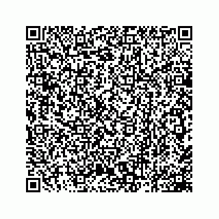 vCard 78162931137