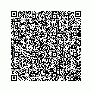 vCard 78162931141