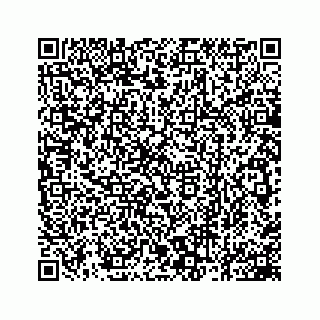 vCard 78162931171