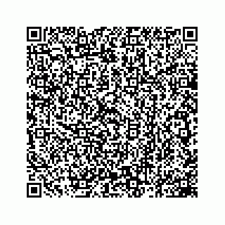 vCard 78162931177