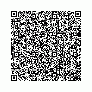 vCard 78162931179