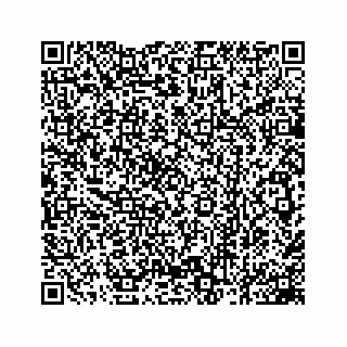 vCard 78162931195