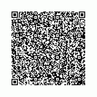 vCard 78162931199