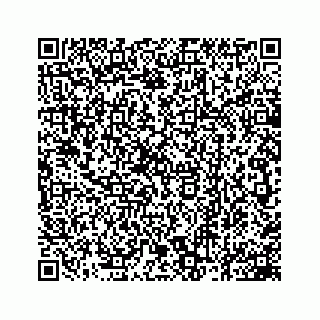 vCard 78162931206