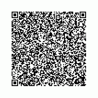vCard 78162931207