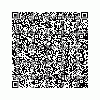 vCard 78162931208